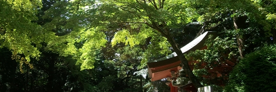 2012-09-17 11.46.59.jpg