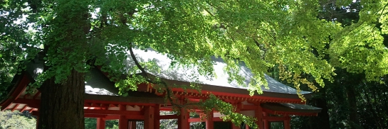 2012-09-17 11.47.23.jpg